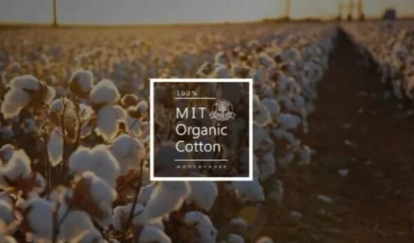 MIT Organic Cotton 有機棉花 鞋帶棉